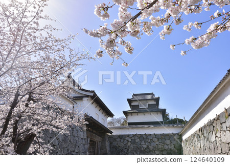 福岡市中央區福岡城、下橋禦門、潮見塔、舞鶴公園的春天 福岡市中央區福岡城、下橋禦門、潮見塔、舞鶴公園的春天 124640109
