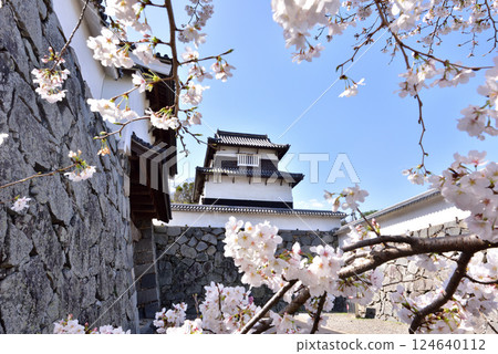 福岡市中央區福岡城、下橋禦門、潮見塔、舞鶴公園的春天 124640112
