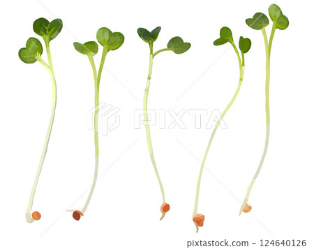 注意：蘿蔔蘿蔔 124640126