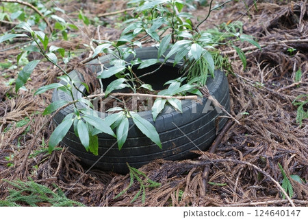 Waste tires in the forest 124640147