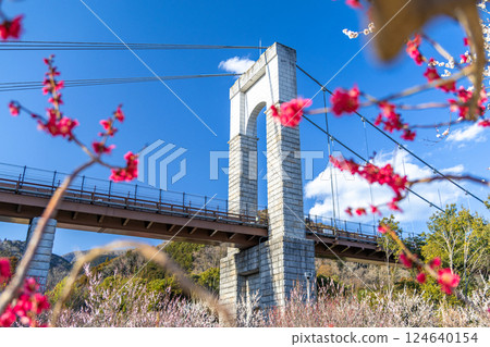 戶川公園:風之吊橋與紅梅美景(神奈川縣秦野市) 戶川公園:風之吊橋與紅梅美景(神奈川縣秦野市) 124640154