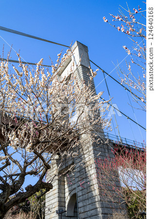 戶川公園：風之吊橋與梅花美景（神奈川縣秦野市） 124640168