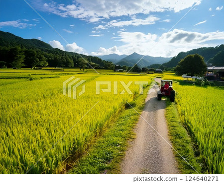 日本鄉村稻田風景 124640271