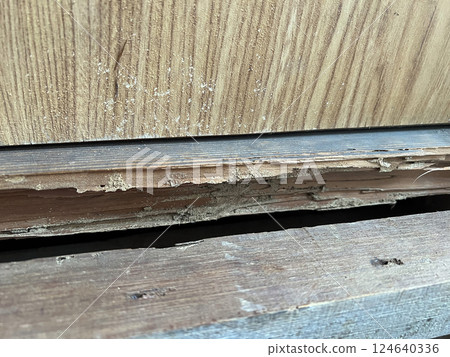 Damage caused by termites 124640336