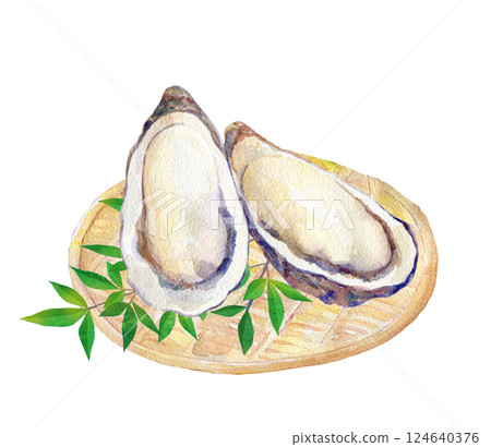 Watercolor illustration: Fresh oysters Watercolor illustration: Fresh oysters 124640376