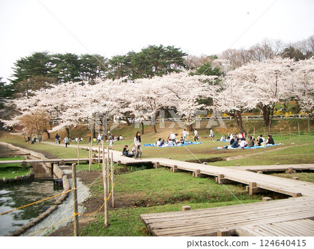 盛岡高松公園高松池上葉山側廣場(岩手縣盛岡市) 盛岡高松公園高松池上葉山側廣場(岩手縣盛岡市) 124640415