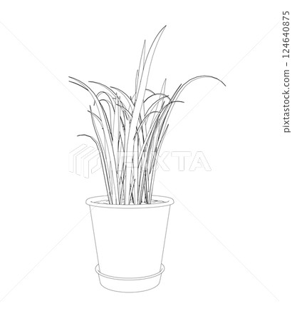 Plant in flower pot outline. Line, solid and filled outline version, outline and filled vector sign. Home plant symbol. Flowers in pots painted black line on a white background. Vector drawing lines 124640875