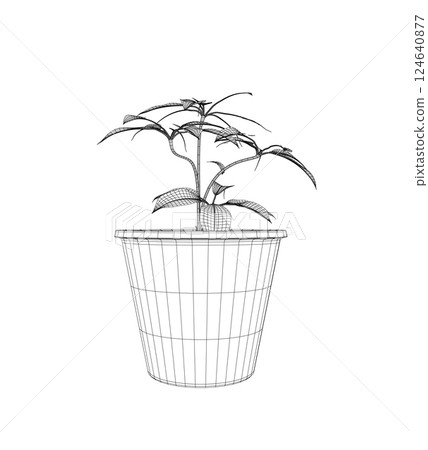 Plant in flower pot wireframe. Line wireframe version, outline and filled vector sign. Home plant symbol. Flowers in pots painted black line on a white background. Vector drawing lines 124640877
