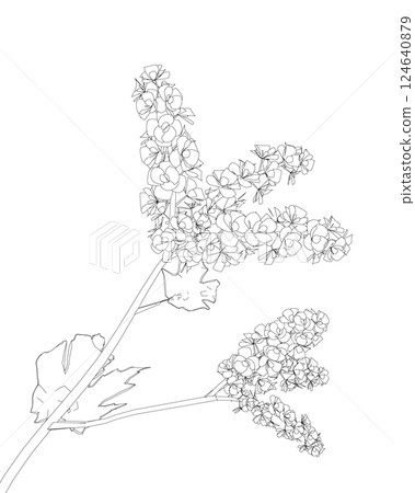 Outline flowers decoration on white background. Black contour of flowers isolated on white background. Hand drawn sketch flowers. Cherry blossom outline Outline flowers decoration on white background. Black contour of flowers isolated on white background. Hand drawn sketch flowers. Cherry blossom outline 124640879