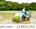 種植水稻的人 124641262