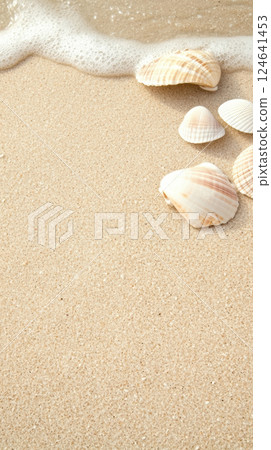Seashells on sand with soft ocean waves Seashells on sand with soft ocean waves 124641453