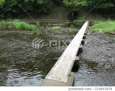 流經日高市巾著田的駒川與 Doremifa 橋 流經日高市巾著田的駒川與 Doremifa 橋 124641676