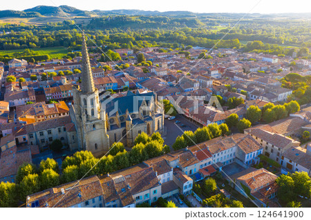 Aerial view of Mirepoix town overlooking Cathedral, France 124641900