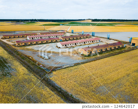 Aerial view of modern pig farm 124642017