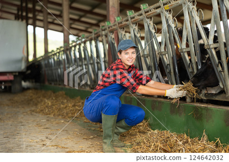 Young woman feeding cows hay on farm 124642032