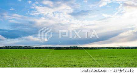 panoramic view of scenery landscape with horizon and grassland 124642116