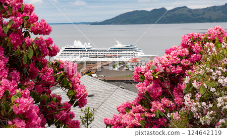destination cruise travel with flowers. selective focus of destination cruise travel. 124642119
