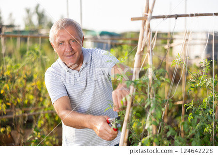 Senior man is working in garden between beds Senior man is working in garden between beds 124642228
