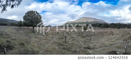 Tranquil Cemetery Landscape with Mountainous Backdrop, Sad Hill 124642916
