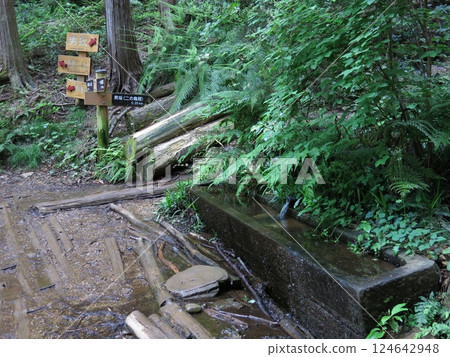 A water source on the Hiwadayama mountain trail in Hidaka City (at the entrance to Otokozaka) A water source on the Hiwadayama mountain trail in Hidaka City (at the entrance to Otokozaka) 124642948