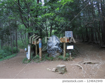 日高市日與田山登山口（第一鳥居附近的男坂與女坂的交界處） 124642949