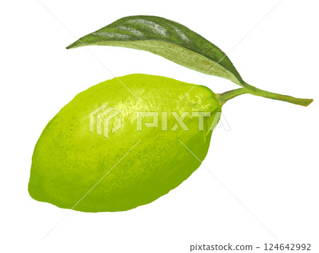 檸檬（含枝葉） 淺綠色 124642992