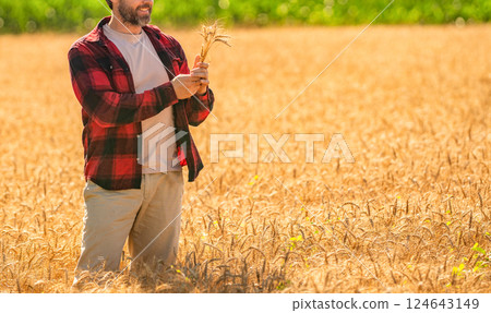 Hispanic man farmer check agriculture field harvest. Man agronomist farmer. Crop protection. Agriculture farm. Farm man at wheat field. Crop harvest and farming. Farmer in field, cropped view 124643149