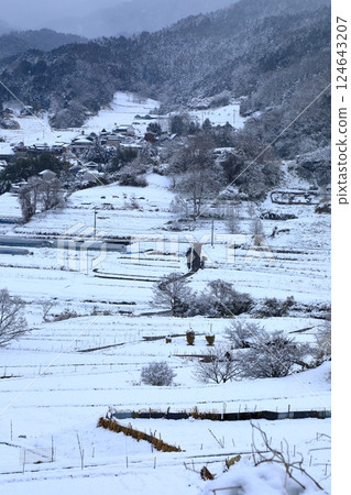 明日香村：稻淵町的雪水梯田 124643207