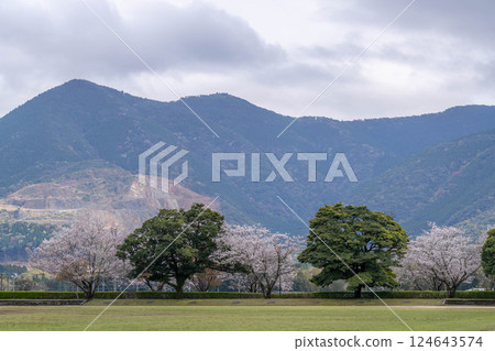 陰天的宮崎市田野運動公園 124643574