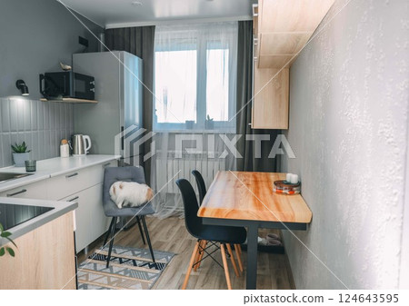 cozy modern kitchen with japanese chin dog resting on chair, concept of home design and pet-friendly environments cozy modern kitchen with japanese chin dog resting on chair, concept of home design and pet-friendly environments 124643595