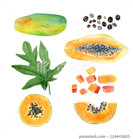 Papaya slice, cubes, seeds, leaf, whole and half watercolor illustration set isolated on white. The hand-painted tropical fruit clip art is perfect for culinary designs, labels, cards, packages menu 124643685