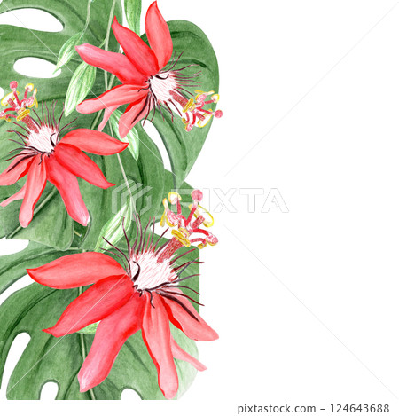 Red passiflora watercolor vertical card isolated on white. Hand drawn rainforest nature clipart, sketch style. Exotic tropical plant perfect for cards, textile, botanical prints, posters decor design 124643688