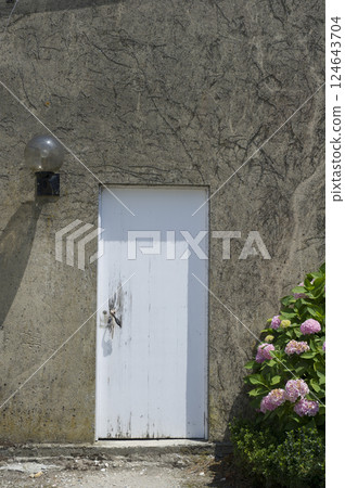 Door in the back alley 124643704