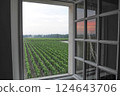 A view from the window 124643706