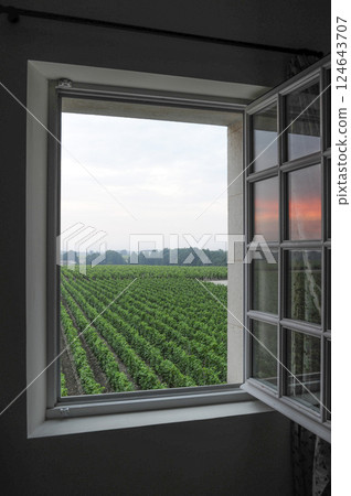 View from the window 124643707