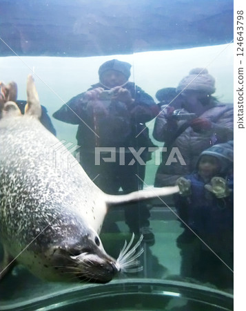 Asahiyama Zoo's Marine Way (Asahikawa, Hokkaido) 124643798