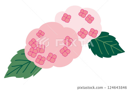 繡球花插圖素材，顏色 124643846