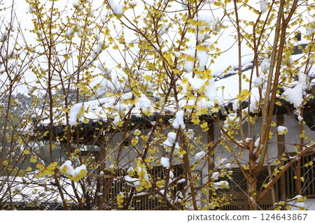 Asuka Village Tachibana Temple - Flowers of Despair Asuka Village Tachibana Temple - Flowers of Despair 124643867