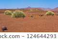 Scenic view of the Palmwag Concession Area in Namibia. 124644293