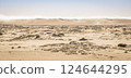 View of the Skeleton Coast desert dunes in Namibia in Africa.  124644295