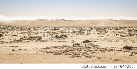 View of the Skeleton Coast desert dunes in Namibia in Africa.  124644295