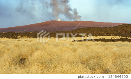 The Erta Ale volcano in the Danakil Depression in Ethiopia. 124644300