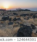 The Erta Ale volcano in the Danakil Depression in Ethiopia. 124644301