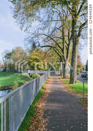 Park with a path and trees 124644584
