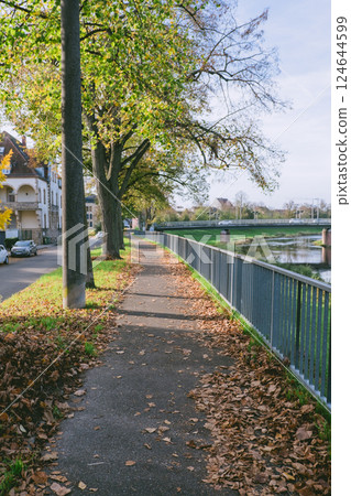 Path with a fence and trees on either side Path with a fence and trees on either side 124644599