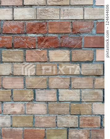 Brick wall with a red brick in the middle Brick wall with a red brick in the middle 124644606