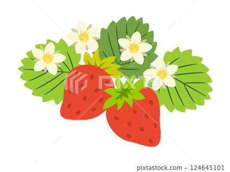 兩顆帶葉子和花的草莓 124645101