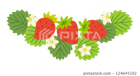 三顆帶葉子和花的草莓 124645102