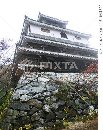岩國城天守閣（複原版）（山口縣岩國市） 124645201