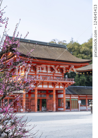 京都下鴨神社:光琳的梅花與樓門 京都下鴨神社:光琳的梅花與樓門 124645413